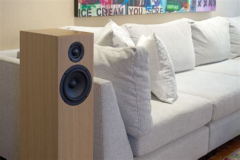 totem bison tower review|Totem Bison Tower Floorstanding Speakers Reviewed.